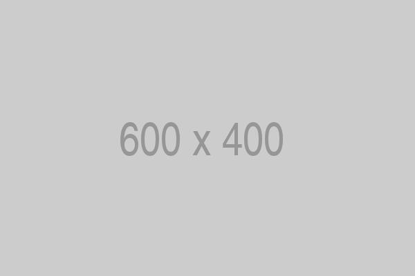 litho-600x400-ph.jpg